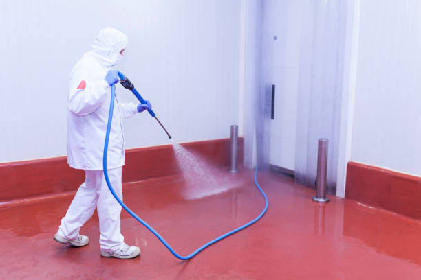 Playground Equipment Cleaning in Christopher, IL